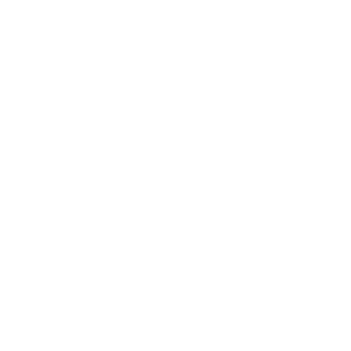  logo icon