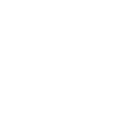  logo icon